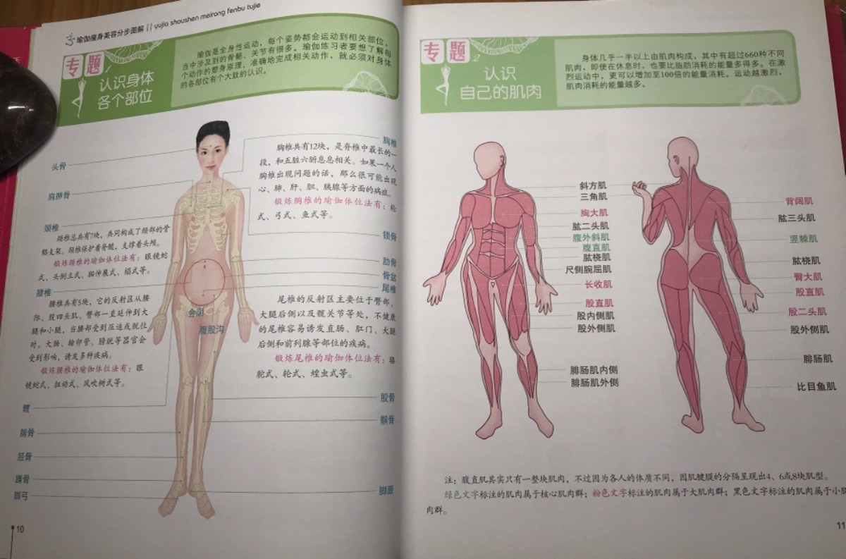 324C50CF-7537-4B2D-A0BE-8FE007CACE2E.jpeg