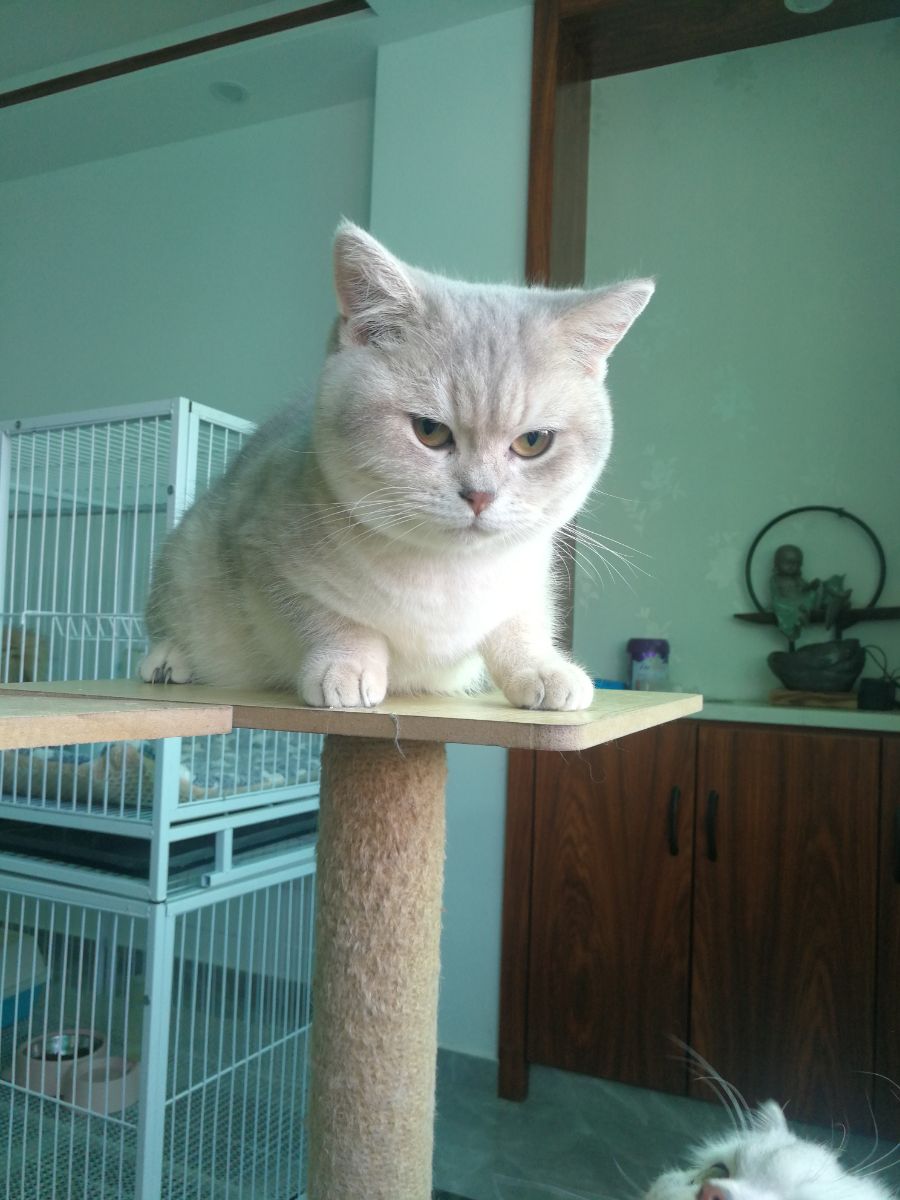 IMG_20220108_122145.jpg