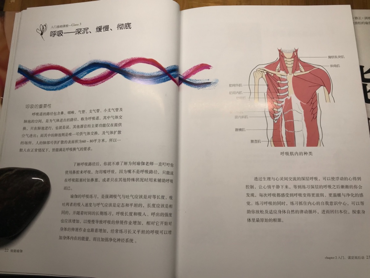 DC0A9EA8-54AB-416B-841B-AB94815364BB.jpeg