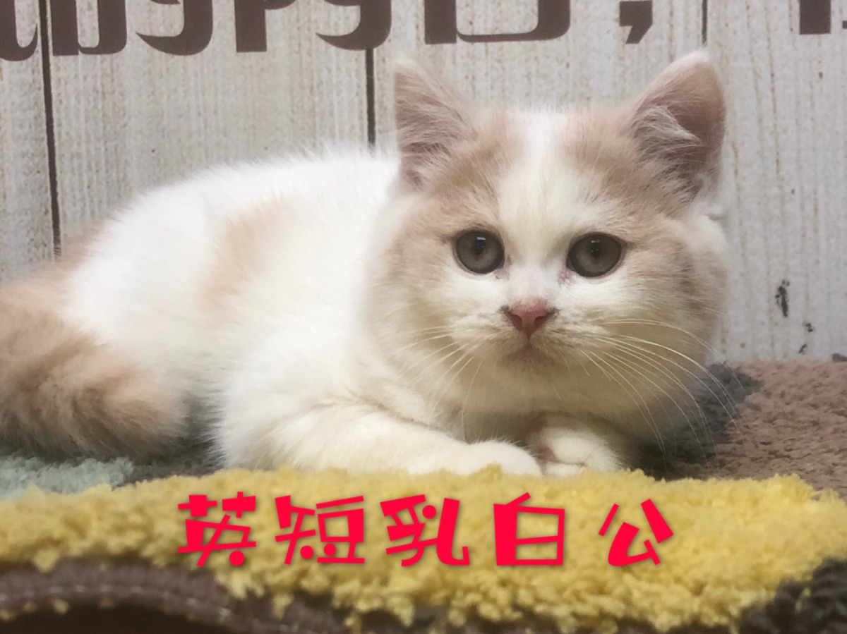 85FBEBB3-6D3D-4B8E-8BD1-0B82625CAA98.jpeg