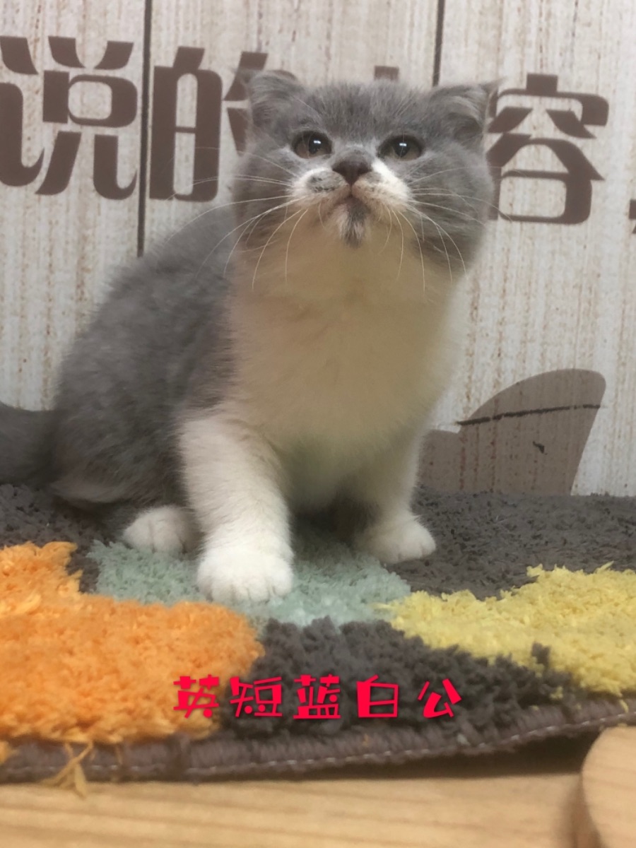 878A81C8-26E0-42BB-BAB1-AE4674EDF2D8.jpeg