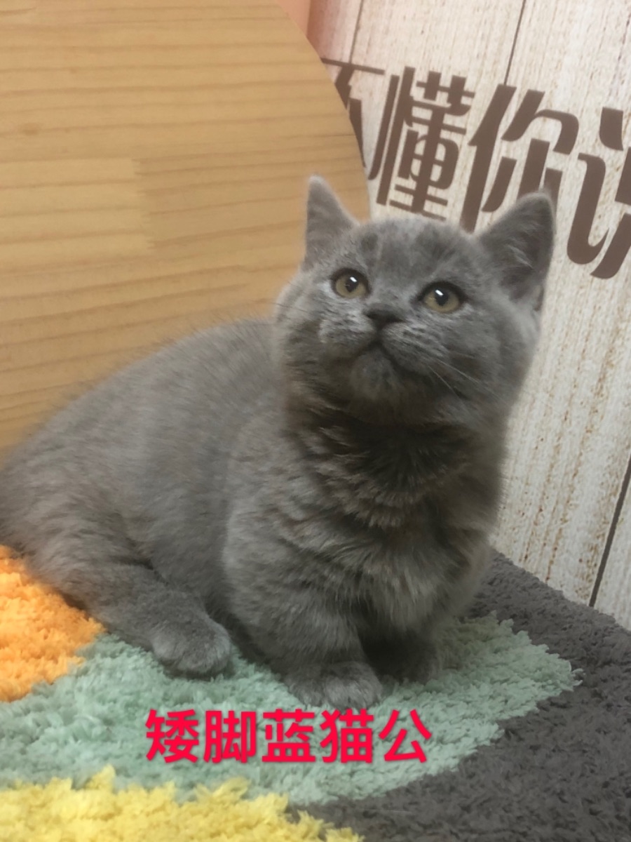 C777F0E4-F702-48C1-B805-DAF13807FF27.jpeg