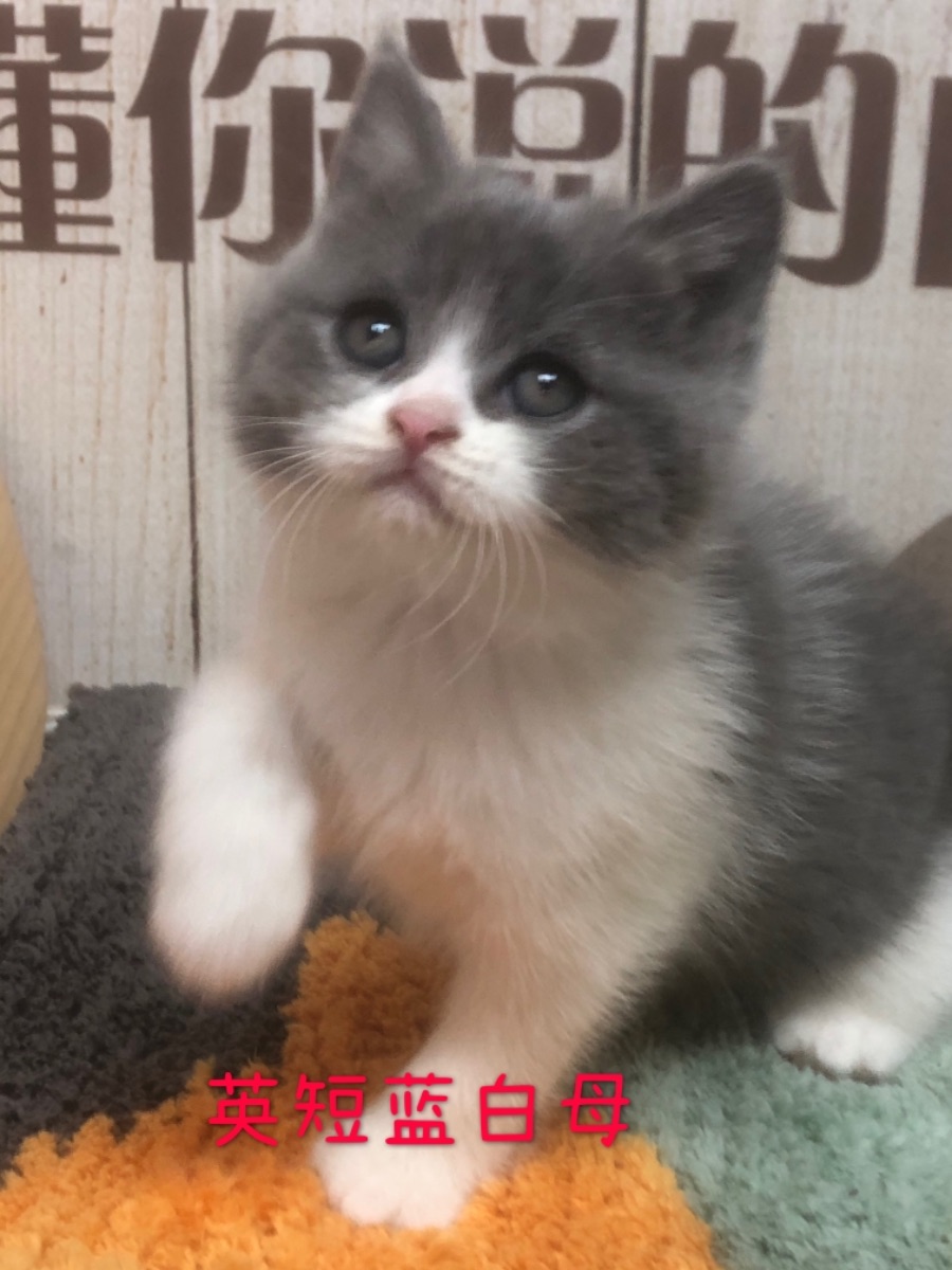 9154F225-F63A-4A12-8E1E-D7DE502E6E66.jpeg