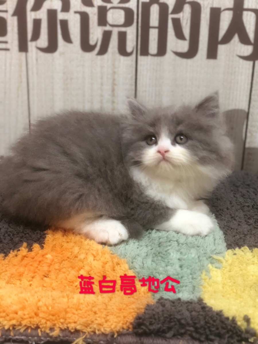 733D6F99-C2AC-4BBE-A315-C2A29E5A8F79.jpeg