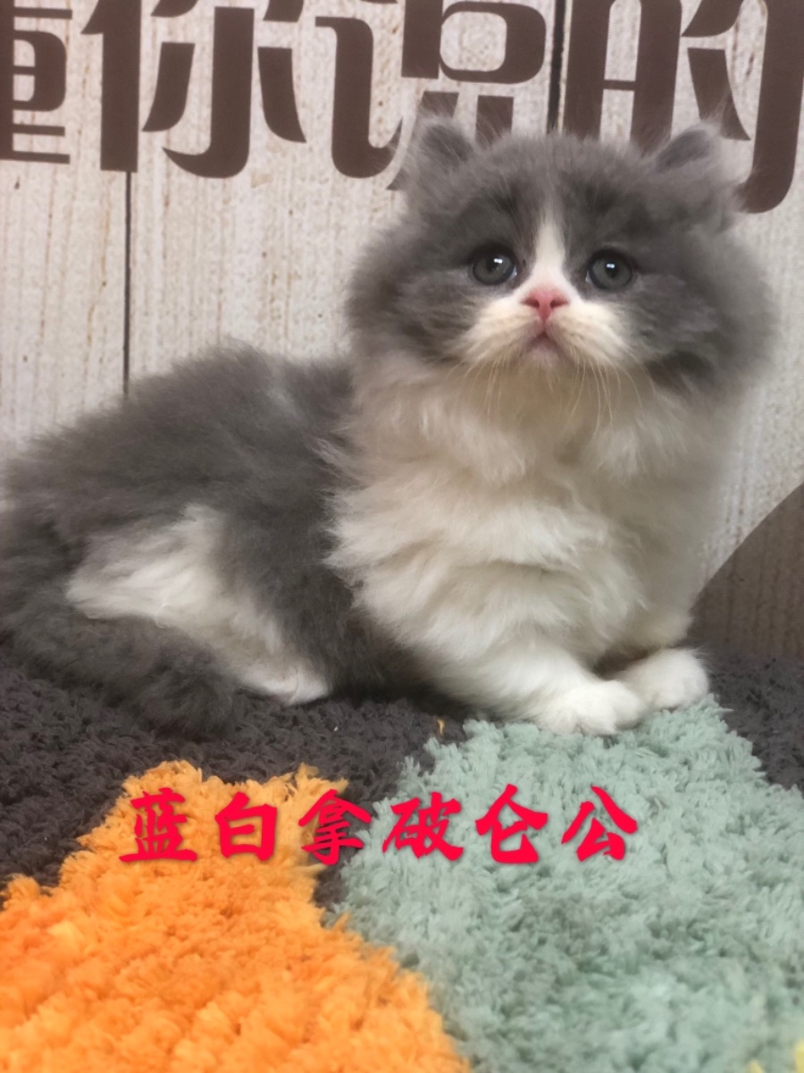 6C5B6CFB-4323-4DD9-8799-9B6809AFDABF.jpeg