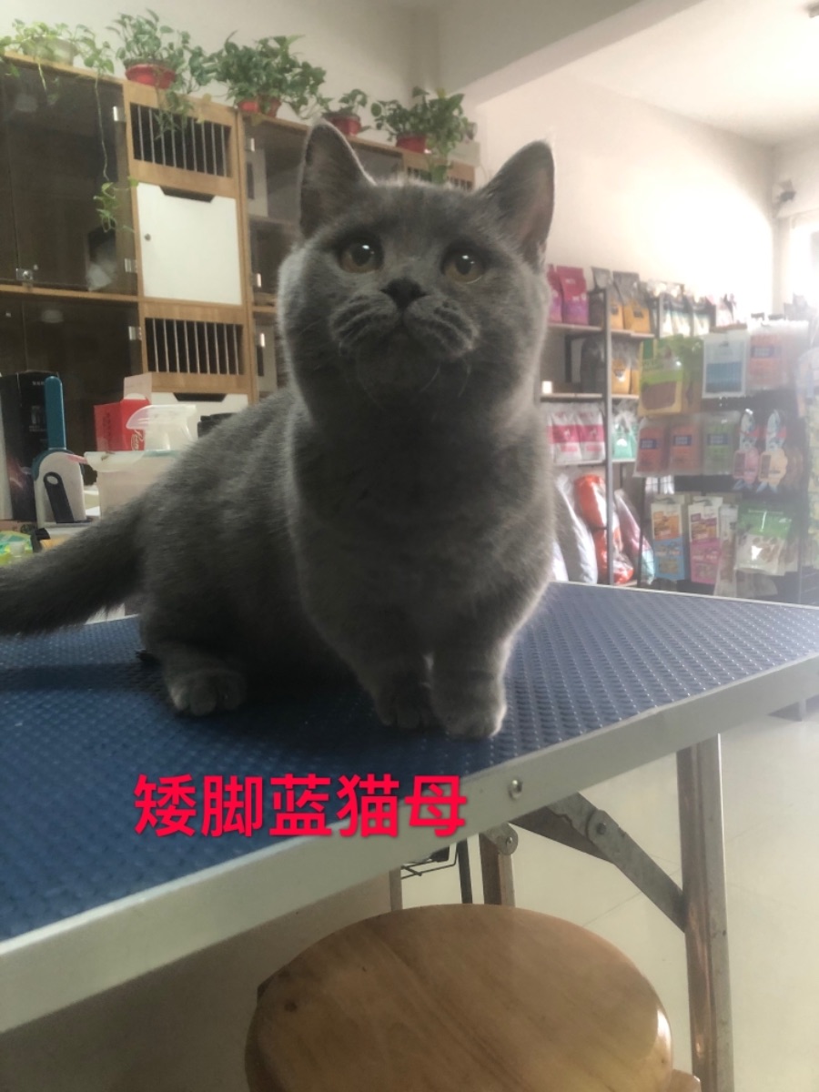 9EC9CB4D-93AF-402C-9376-A2141E410C60.jpeg