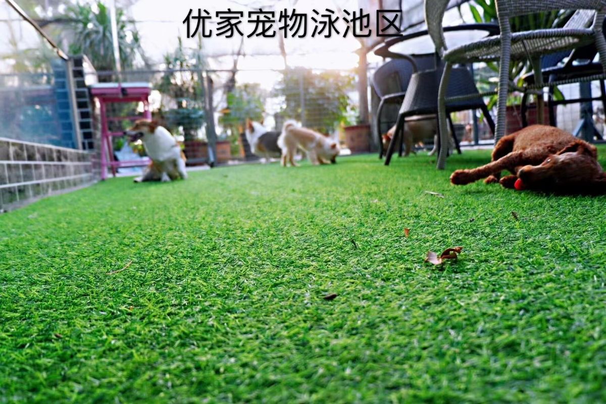 4ba9a796c320bfc463352de2a82b009.jpg
