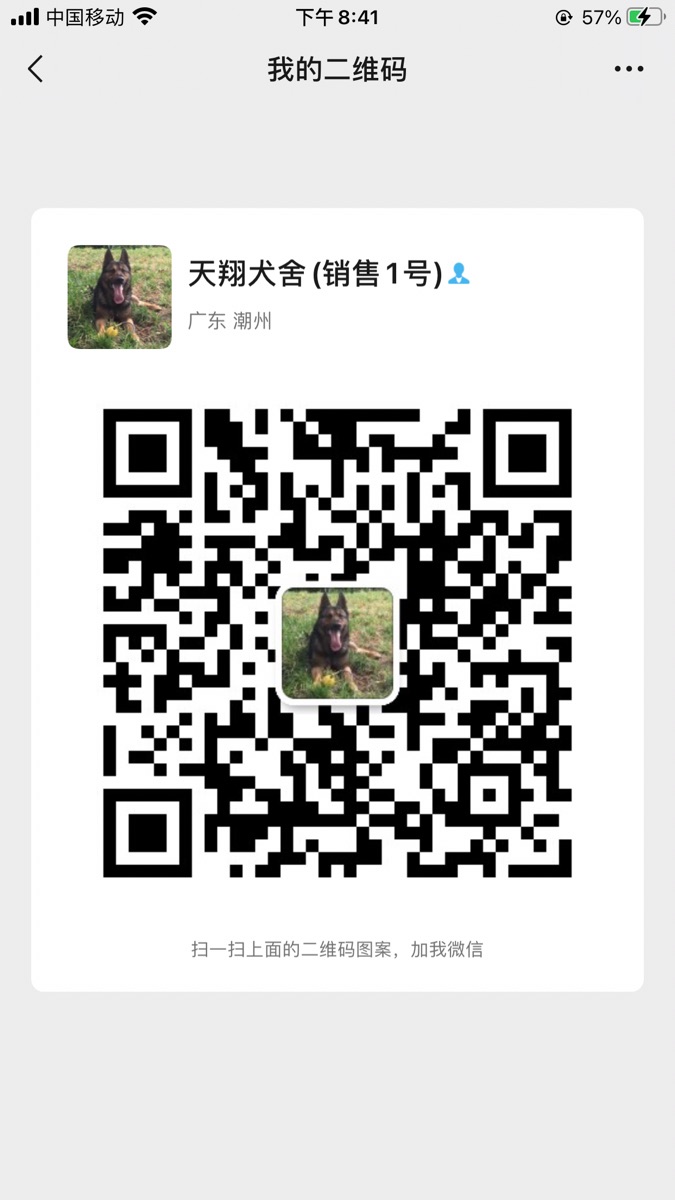 1FD6ECB4-F31F-4E86-AD00-903BFE032276.png