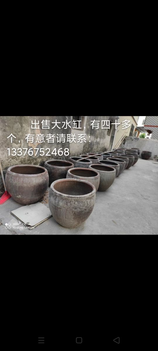 Screenshot_2022-01-26-21-00-55-41.jpg