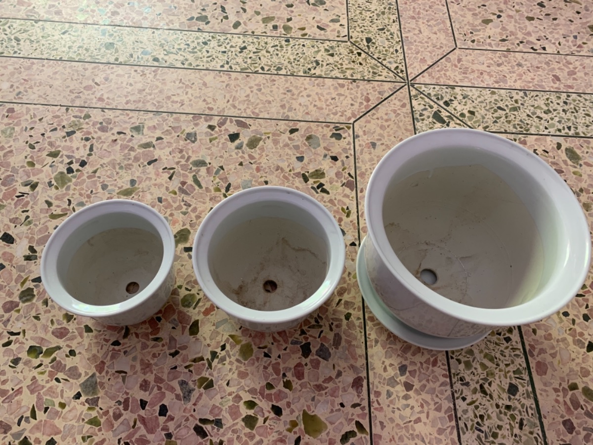 B477D99F-5BDF-47BD-A1C8-B5969AF21015.jpeg
