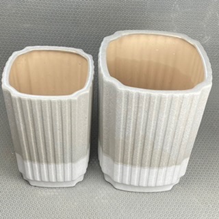 98F4E6EF-75D6-4DCA-8C9B-A86F79AEC7A5.jpeg