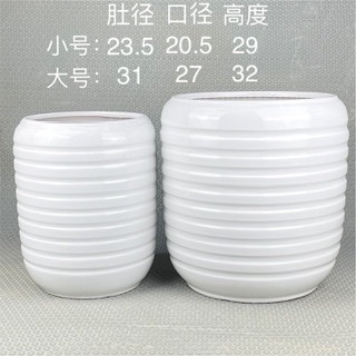 209617DB-B229-4D22-ACD6-061839E8F546.jpeg