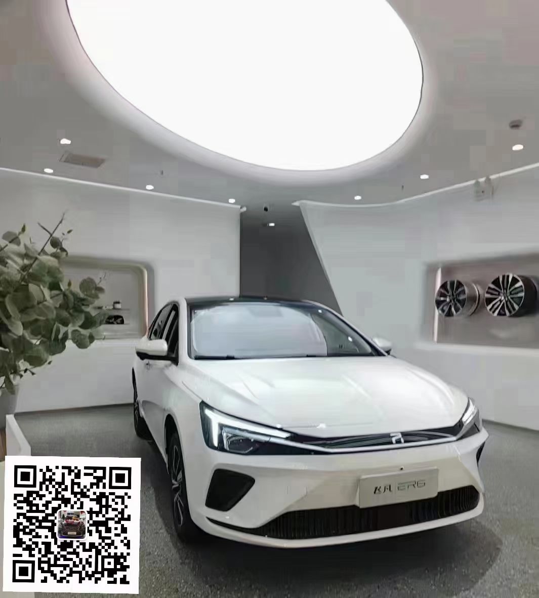 mmexport1648864042457.jpg