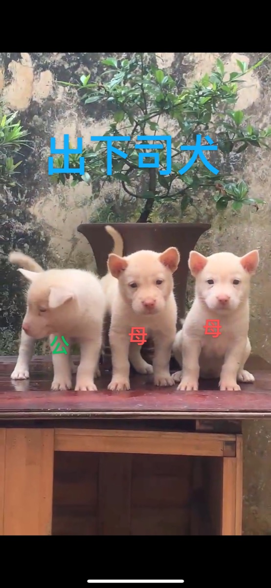723AD4D9-958C-4725-AE6A-55D570D3F0BF.jpeg