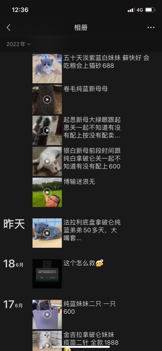 72FEF3A4-10E1-4F91-85D6-B4F73A94585A.png