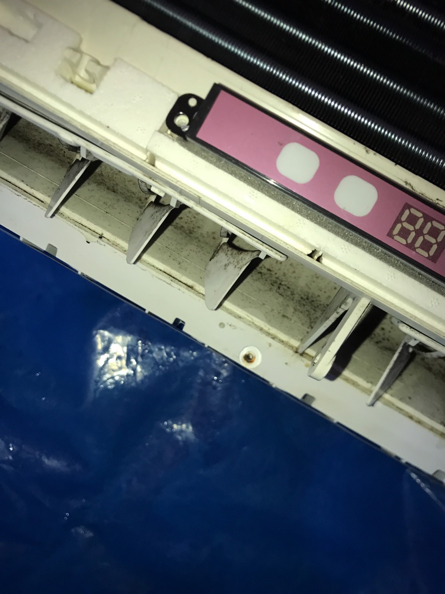 3A36F167-661E-468F-A20E-5D7F6480FE87.jpeg