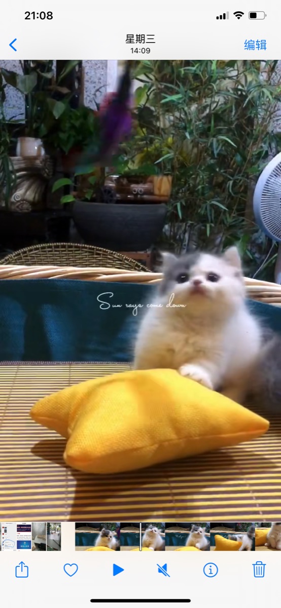 2D455640-A64E-4C67-832E-E4DE05185DA3.png
