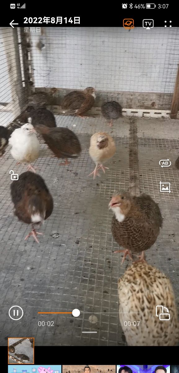 Screenshot_20220814_150738_com.huawei.himovie.jpg