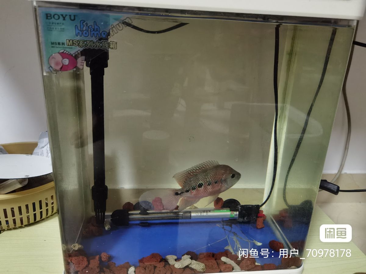 image_editor_1665550709875.jpg