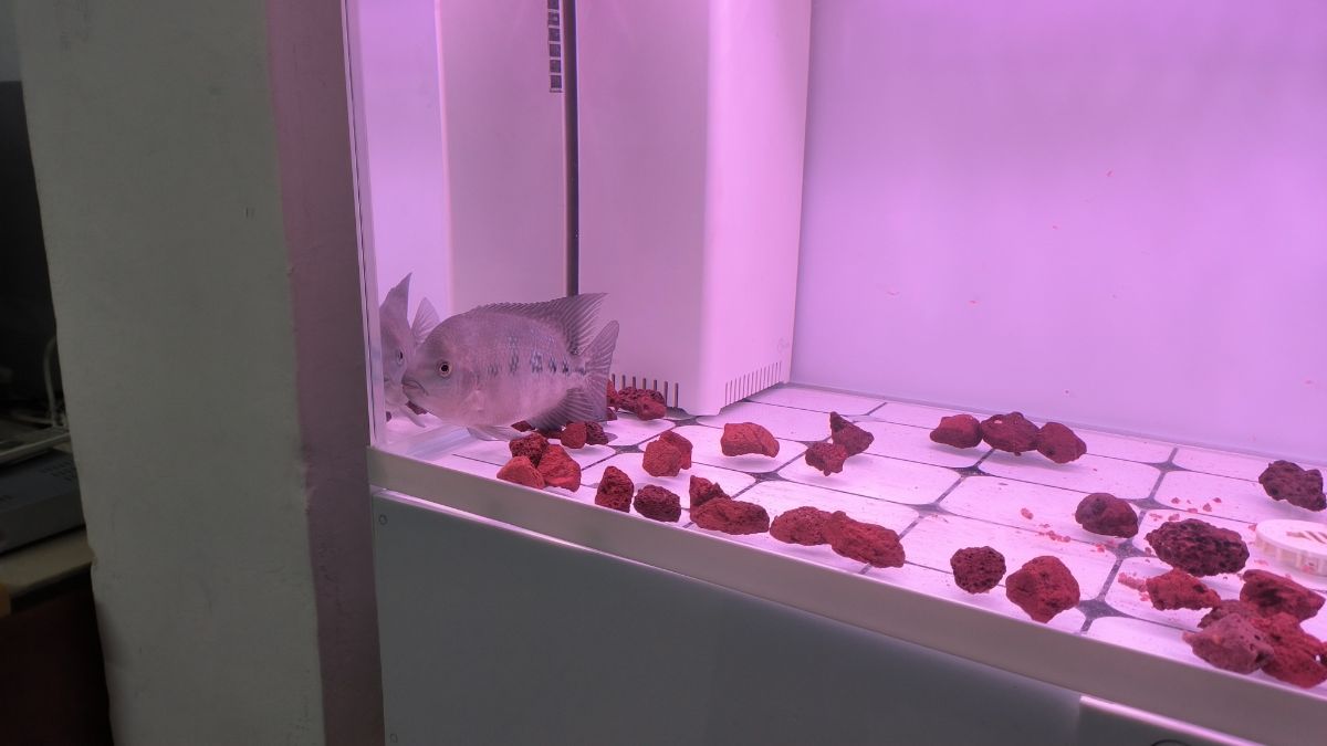 IMG_20221012_184142.jpg