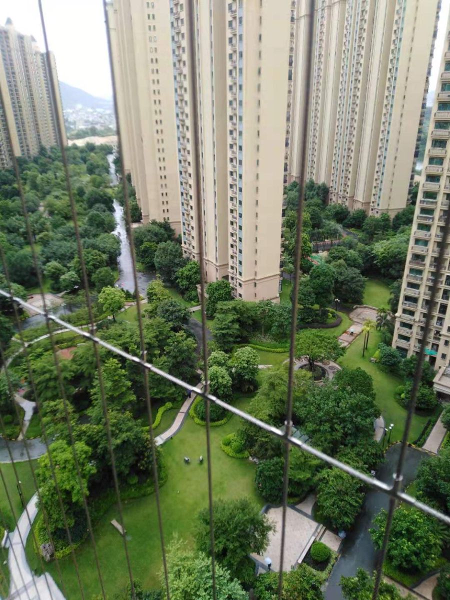 G_20210815140252.jpg