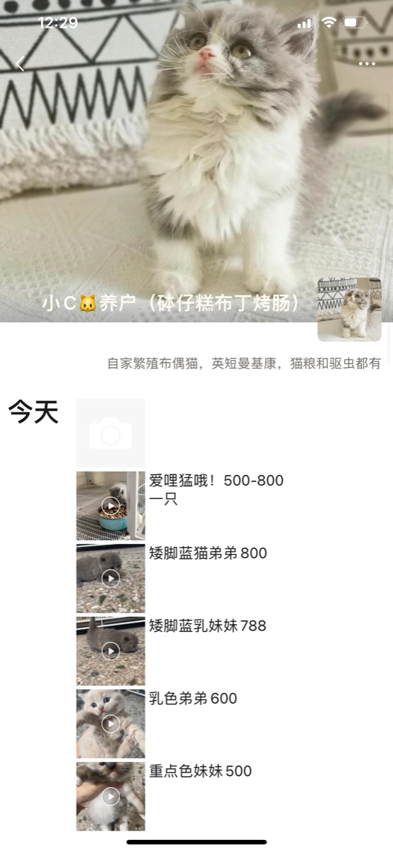 83C32701-91CD-4F29-9244-98539E2ADDD1.png