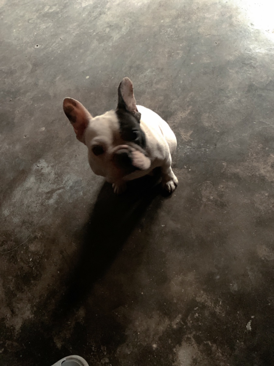 733B64D4-0227-4552-B633-BD341B781056.jpeg