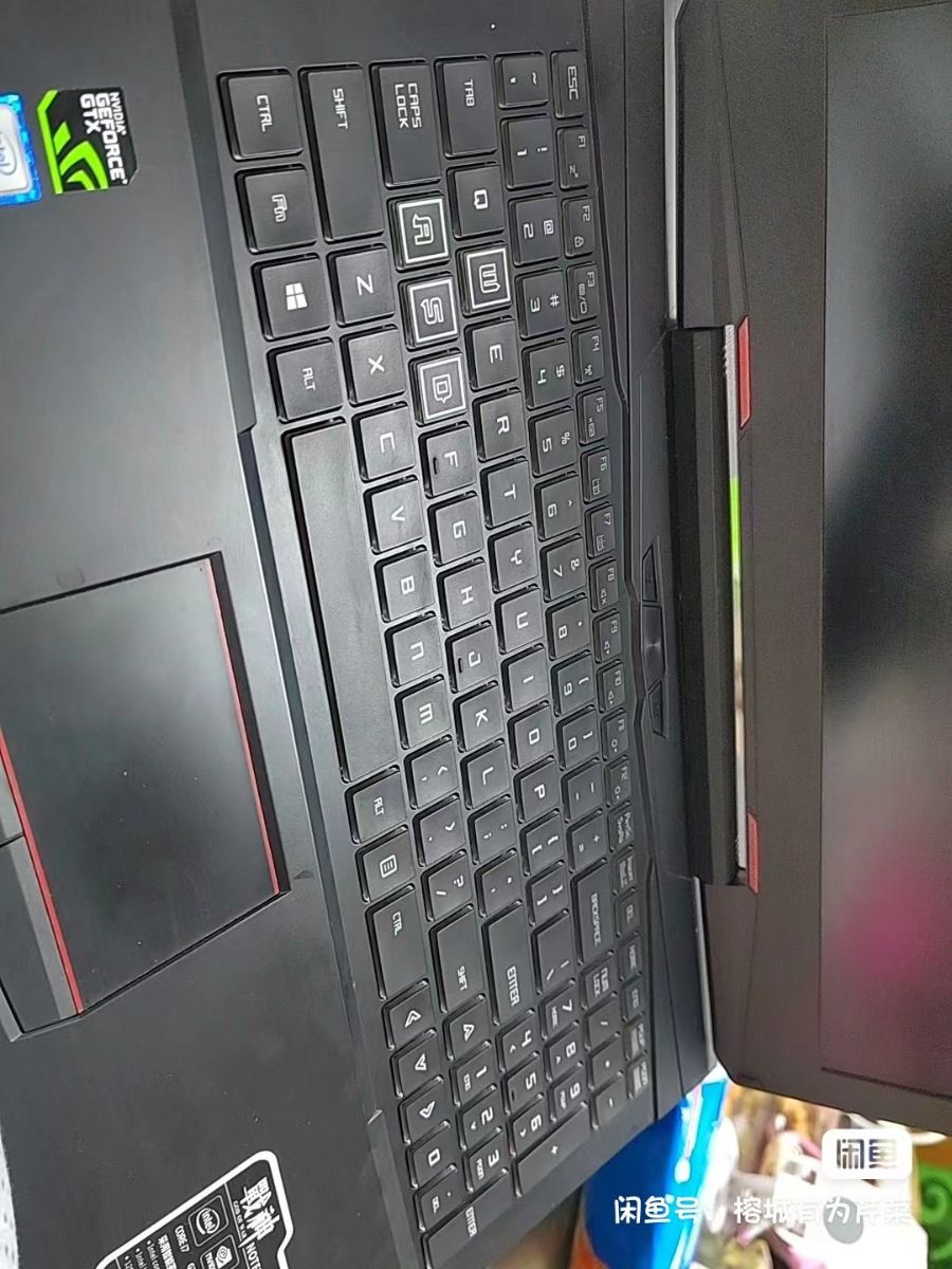 G_20230306172033.jpg