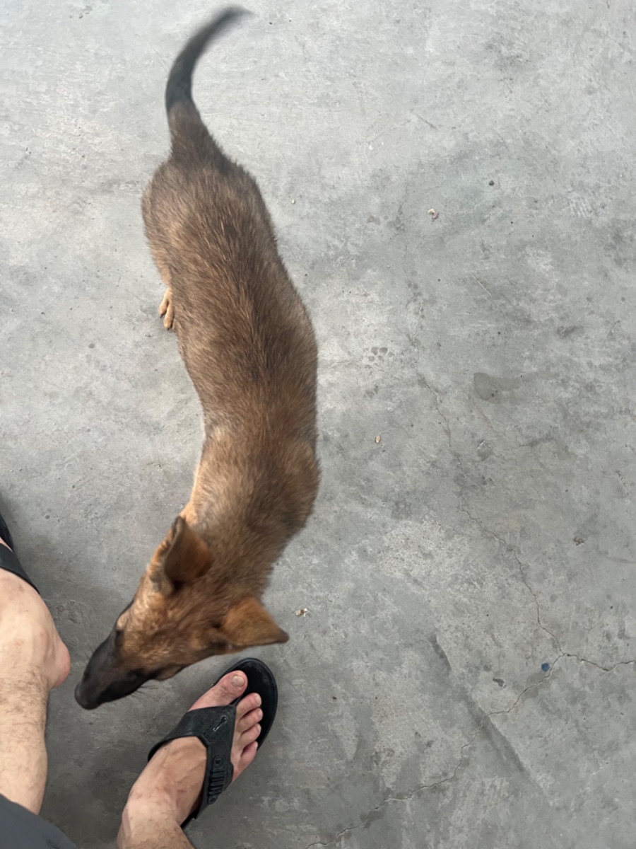 0A30707D-033C-4753-A684-0FC3CA789EEB.jpeg