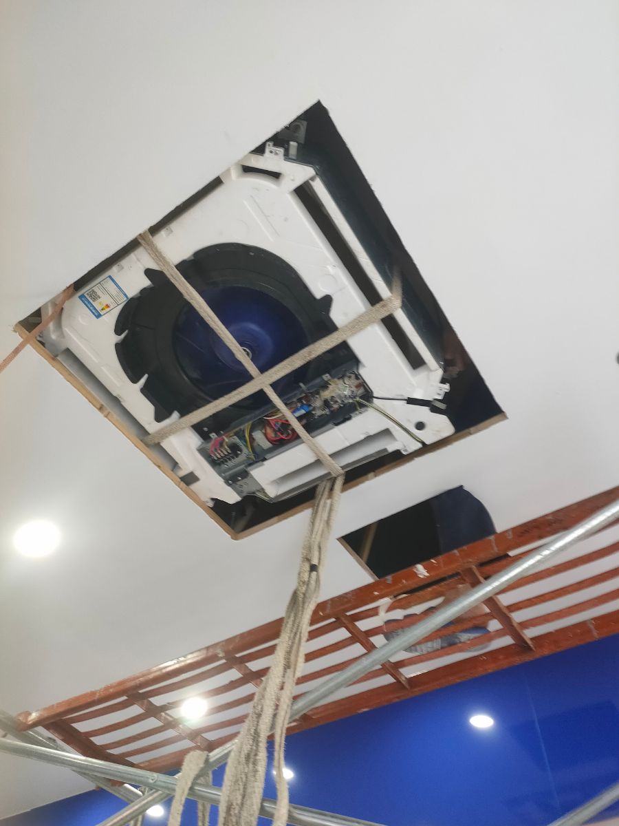 IMG20230716101131.jpg