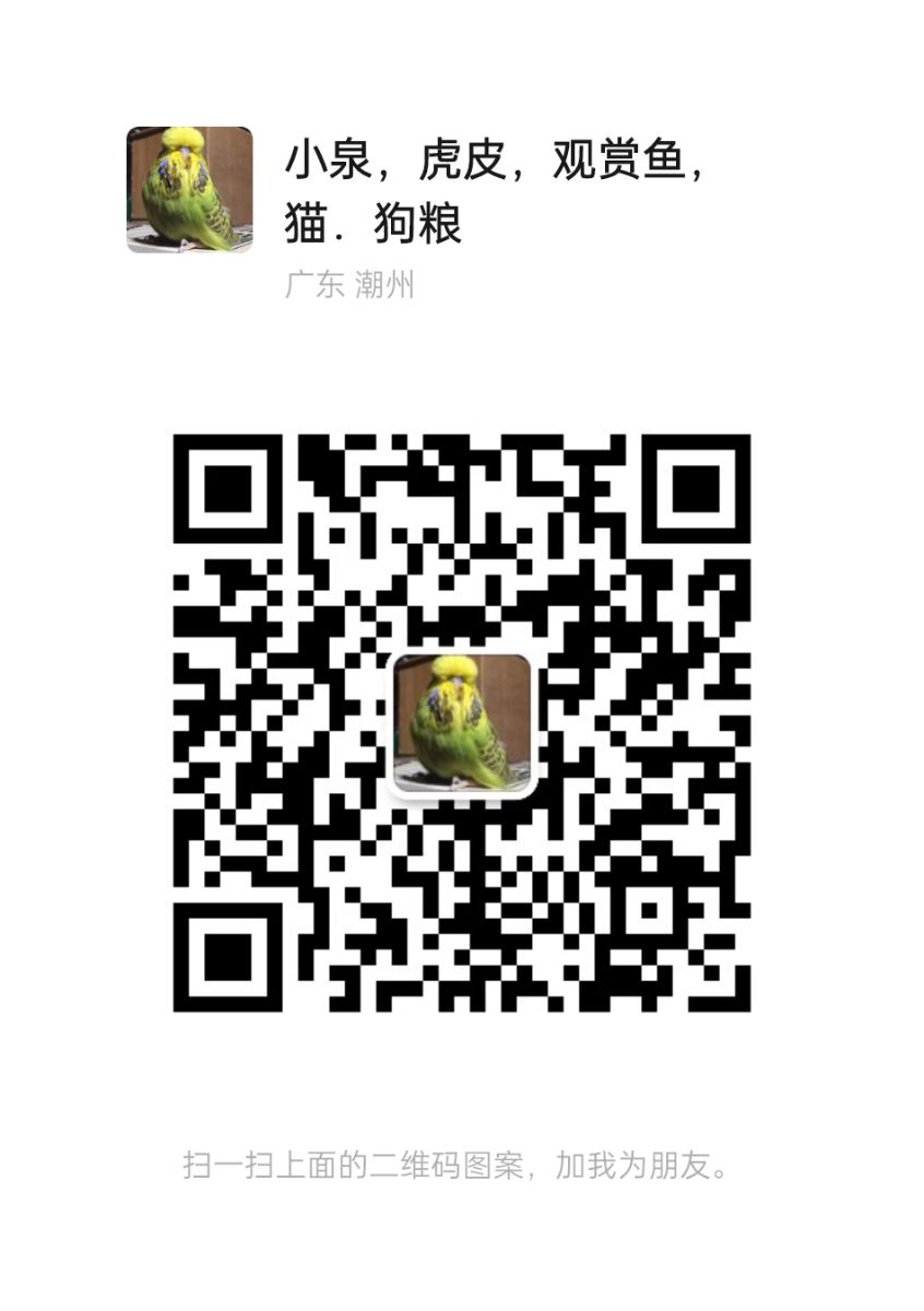 mmqrcode1681318992799.png