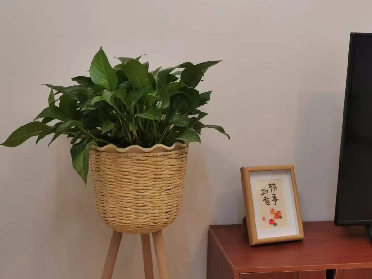 G_20230819114751.jpg