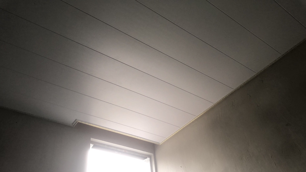 8632926B-50D0-4034-A3AF-6602AF820861.jpeg