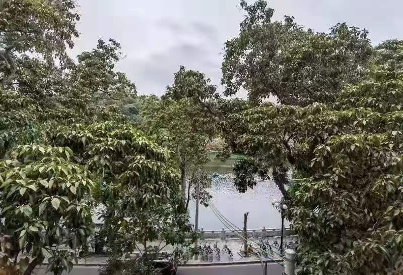 G_20230912223017.jpg