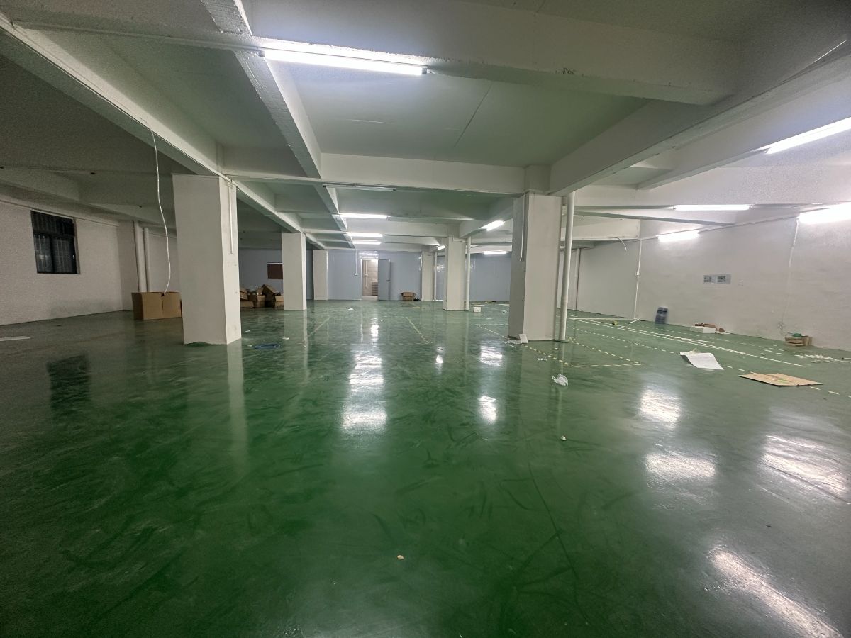 mmexport1694444513509.jpg