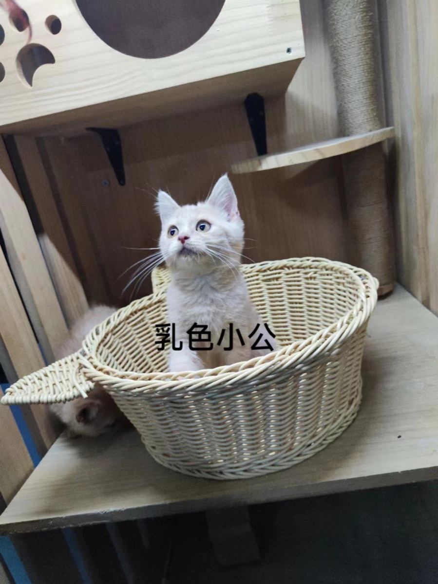 11879C4C-6267-427E-9257-E505C7723F0F.jpeg