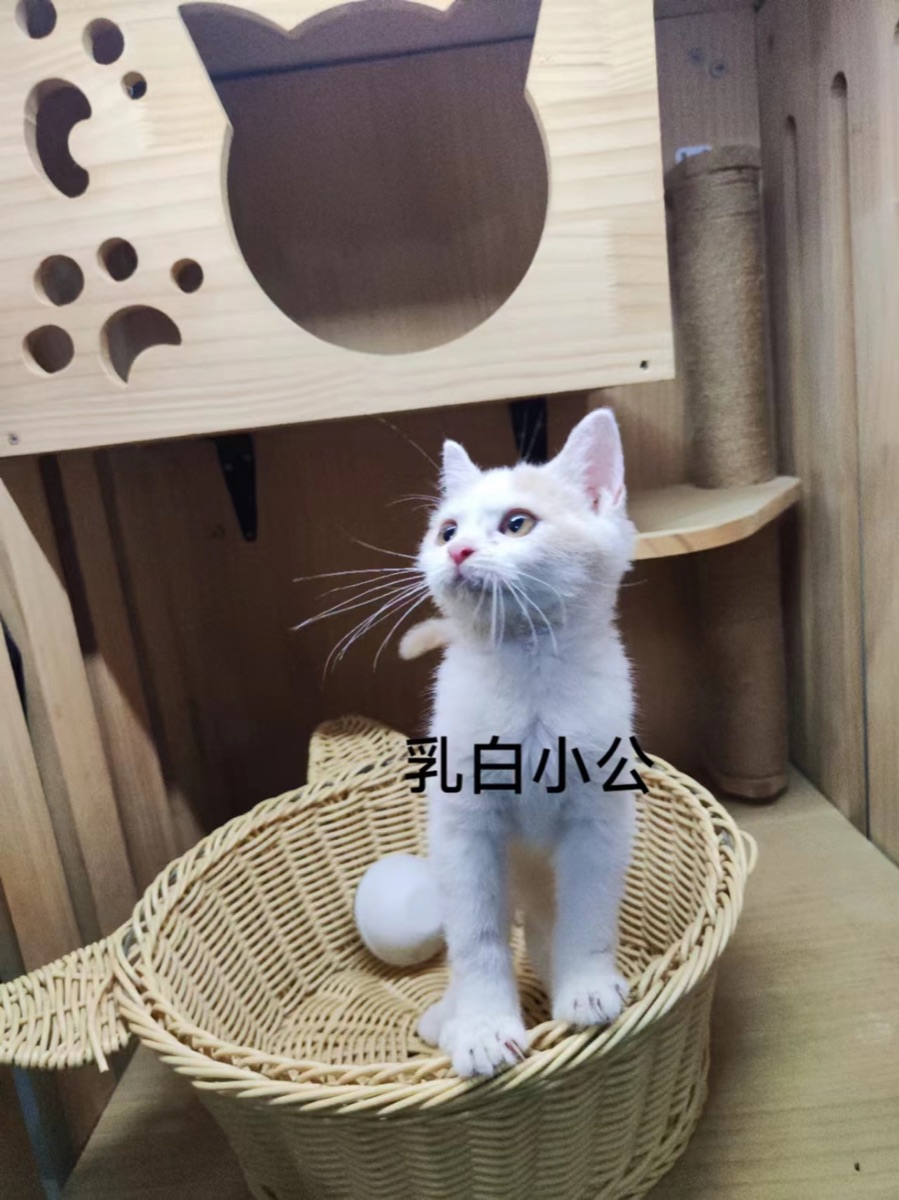 D5A40F8B-A5D8-4E10-8F36-13F43E0E158D.jpeg