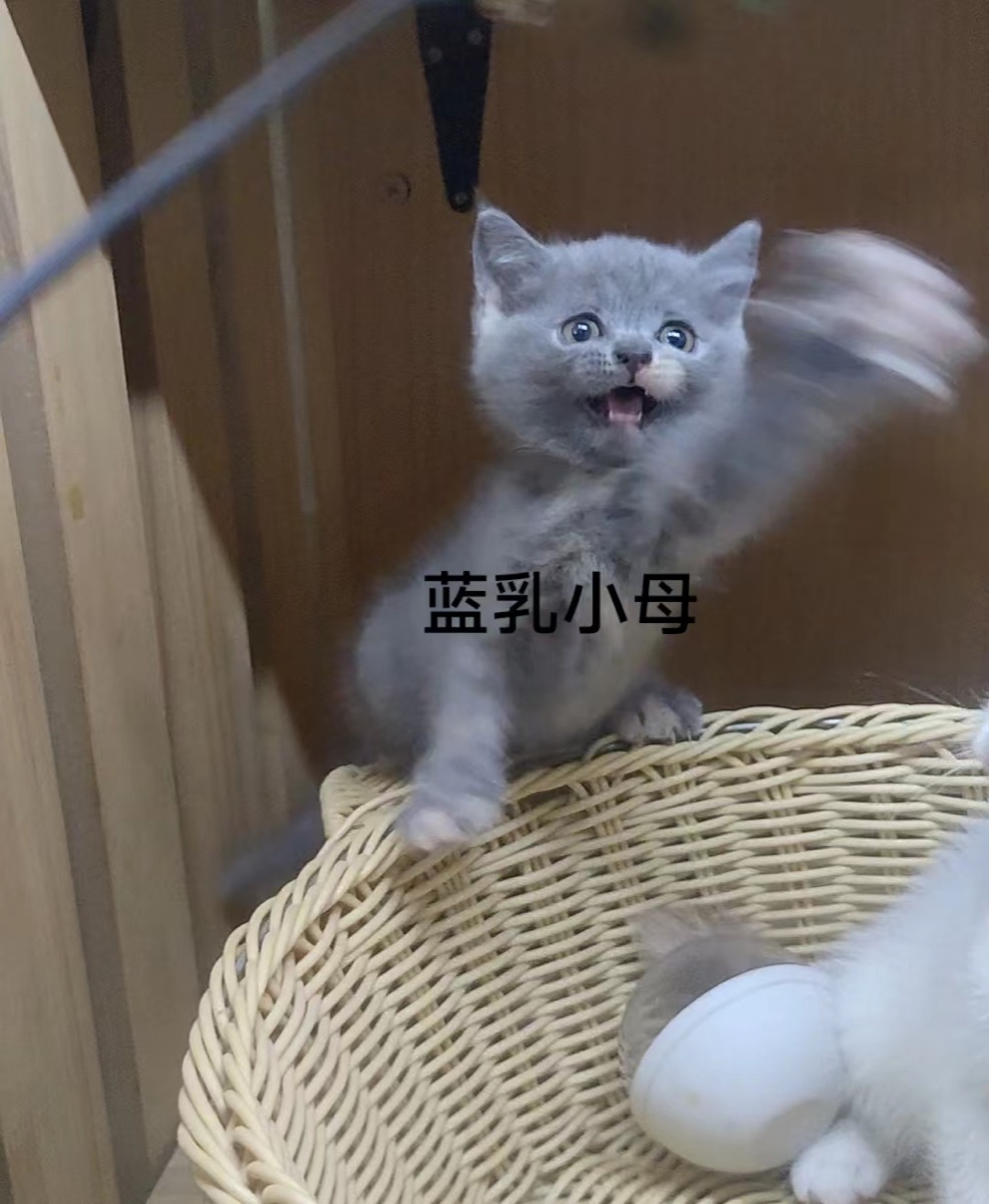 F25B7E7C-8900-471C-8B49-00302D6B319B.jpeg
