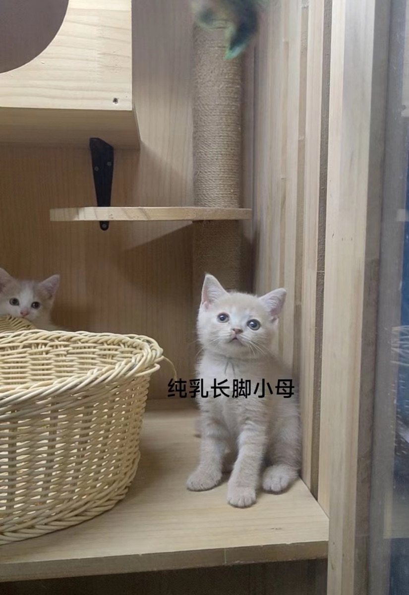 5CCC057F-1824-4D9C-B9B5-9A68411A57AD.jpeg