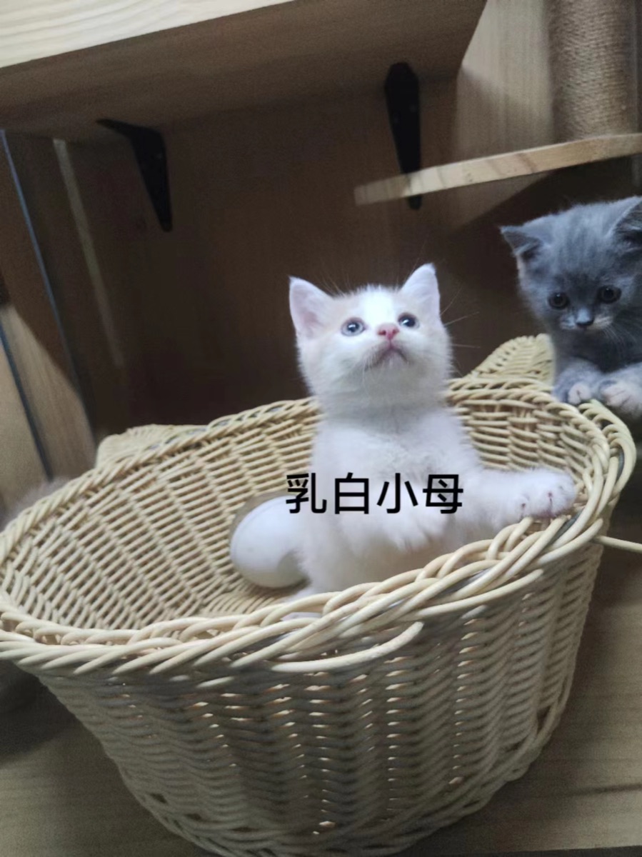 3C7E500B-4BD3-433E-BA9E-D18C1566FC77.jpeg