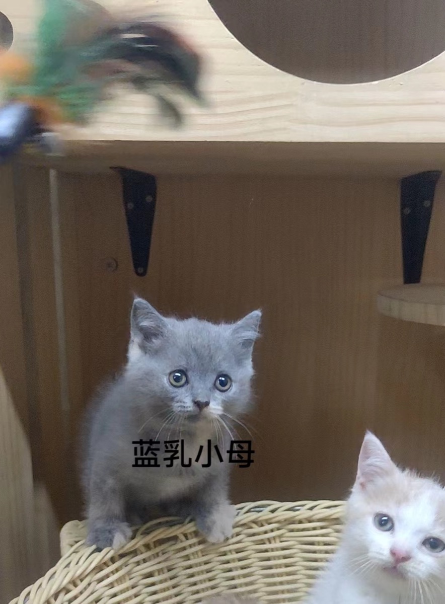 8930CCB3-06B2-4A2B-B928-5E939A6D91DD.jpeg