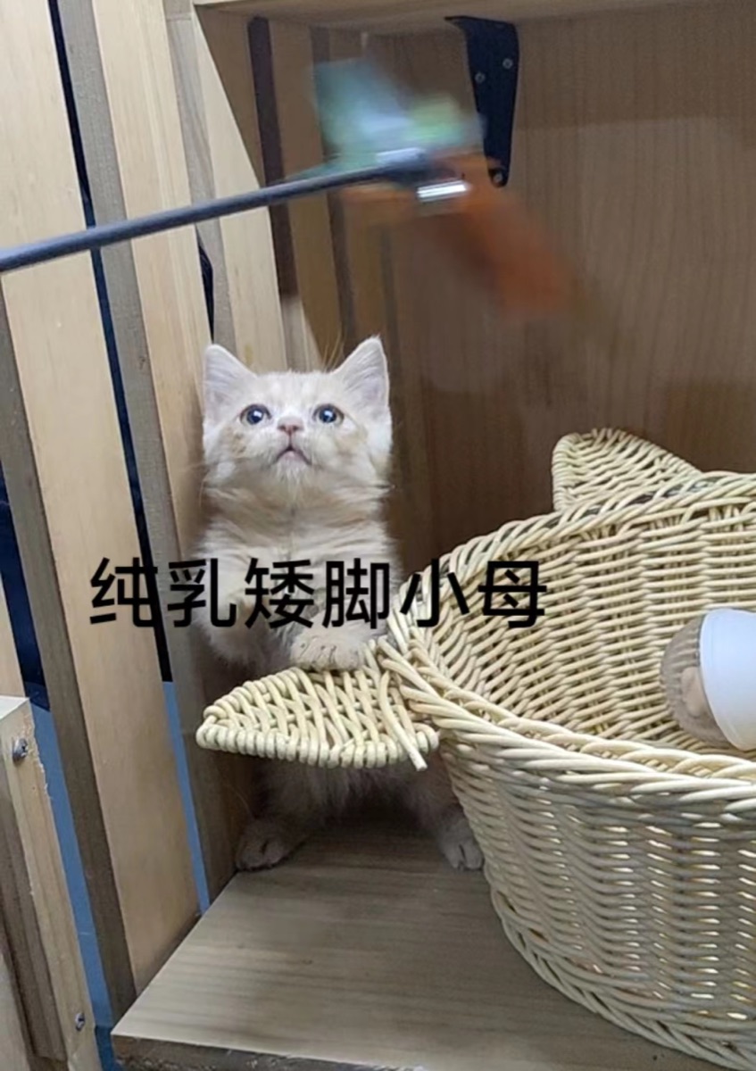 352140F5-4E99-4073-A7C5-7935F9B8EAEF.jpeg
