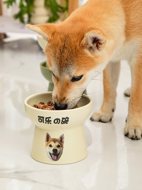 32C7F673-A59B-40FA-AA89-297BCD057898.jpeg