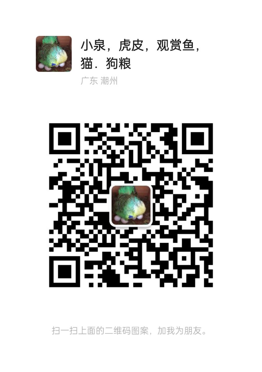 mmqrcode1694163107341.png