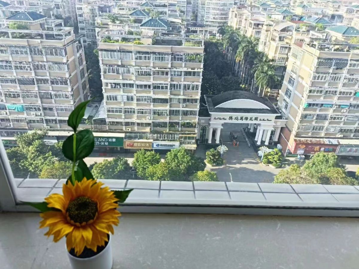 G_20231212150520.jpg