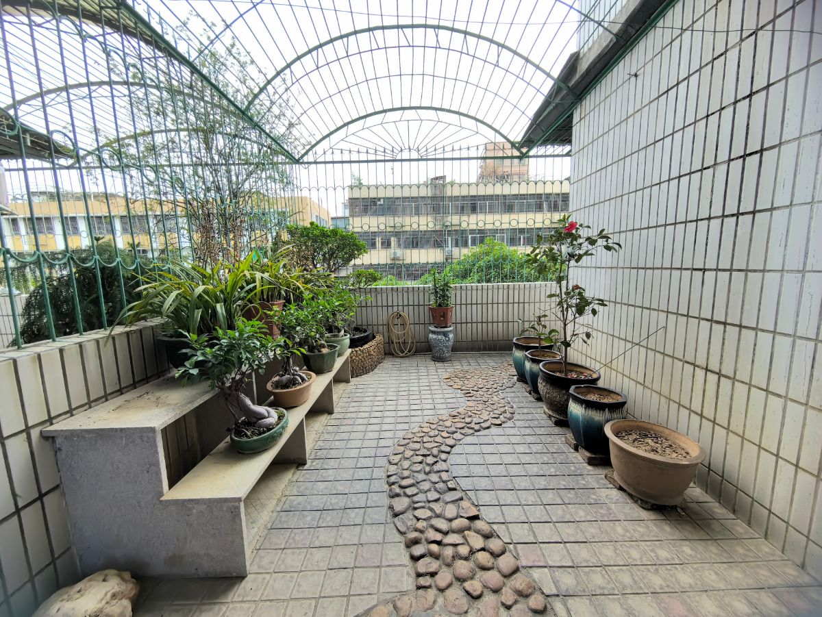 G_20240225102637.jpg