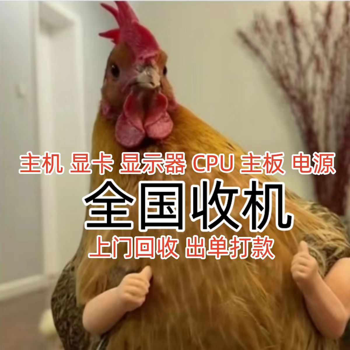 G_20240320131139.jpg