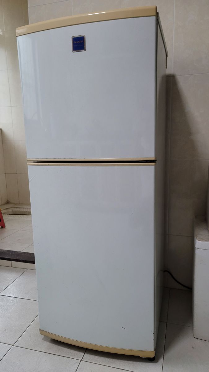 20240331_154353.jpg