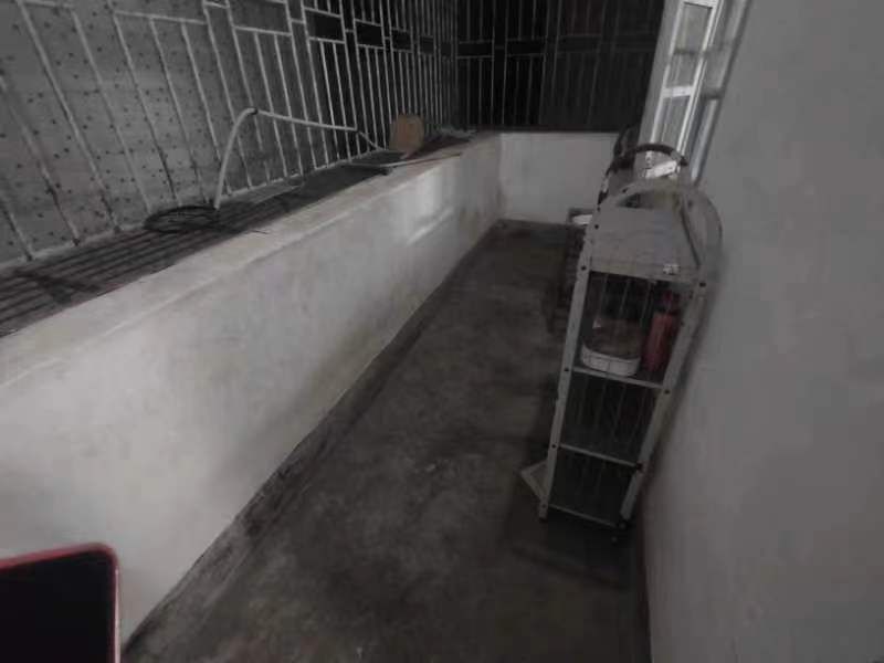 G_20240426160954.jpg