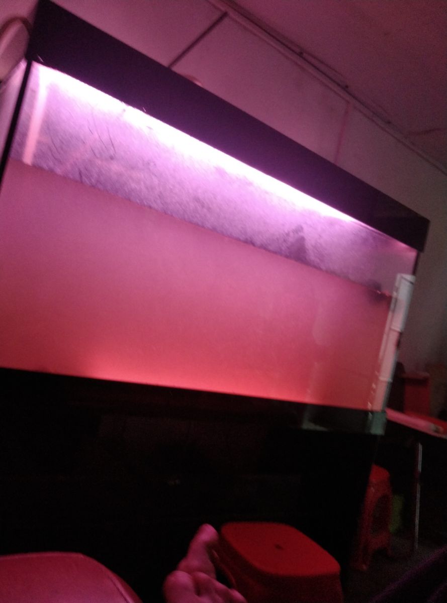 2024-06-04_17.55.11.jpg